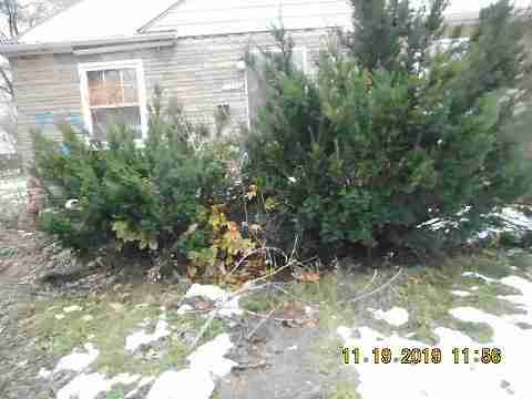 7377 Plainview (17)_m.jpg